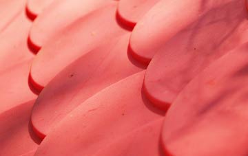 Pedham plastic roof costs